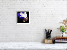 Load image into Gallery viewer, 4833916-1113175
